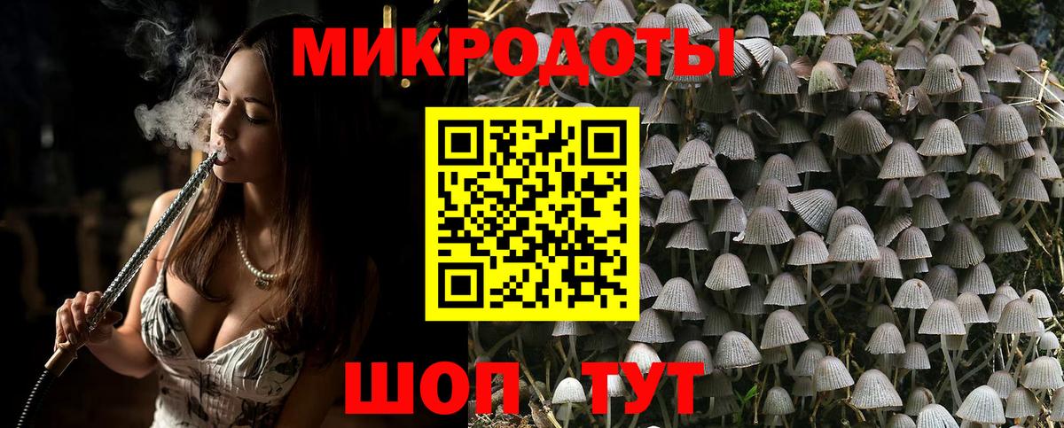 Псилоцибиновые грибы Psilocybe  Вход с VPN  Галлюциногенные грибы Psilocybe  Партизанск 