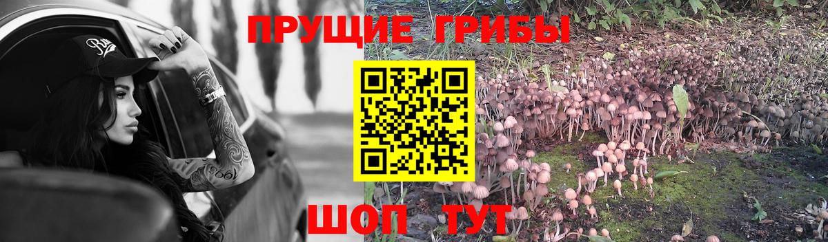 Галлюциногенные грибы мицелий Партизанск